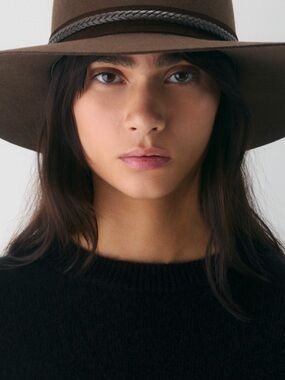 Aritzia Brown Wide-Brim Felt Fedora with Braided Band